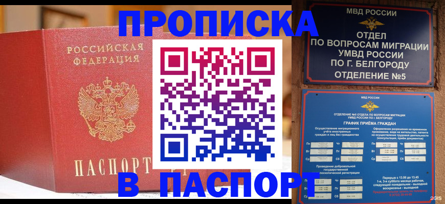 временная регистрация в квартире в Камчатском крае