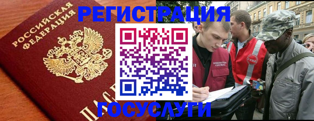 форма 3 в Камчатском крае